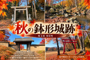 2026年11/15(日)秋の鉢形城跡 (埼玉県寄居町)
