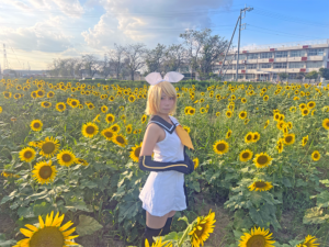 2026.7月～11月 ひまわり撮影 遠藤ファーム