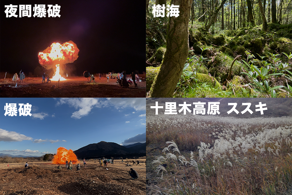 樹海と爆破撮影（昼/夜） / 静岡県裾野市