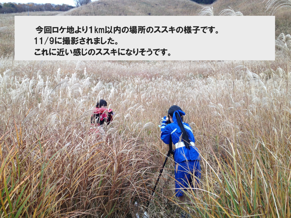 樹海とススキと爆破撮影（昼/夜間）静岡県裾野市 – COSNAVI