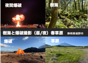 樹海と爆破撮影（昼/夜） / 静岡県裾野市