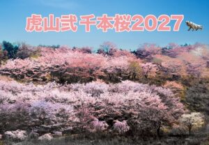 虎山弐千本桜2027 4/1(水)〜散るまで