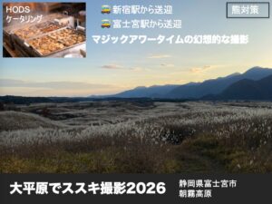 大平原でススキ撮影《朝霧高原》
