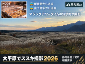 大平原でススキ撮影《朝霧高原》