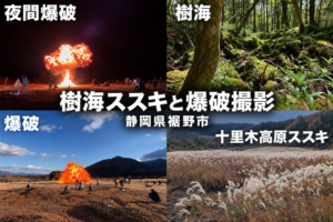 樹海と爆破撮影（昼/夜） / 静岡県裾野市